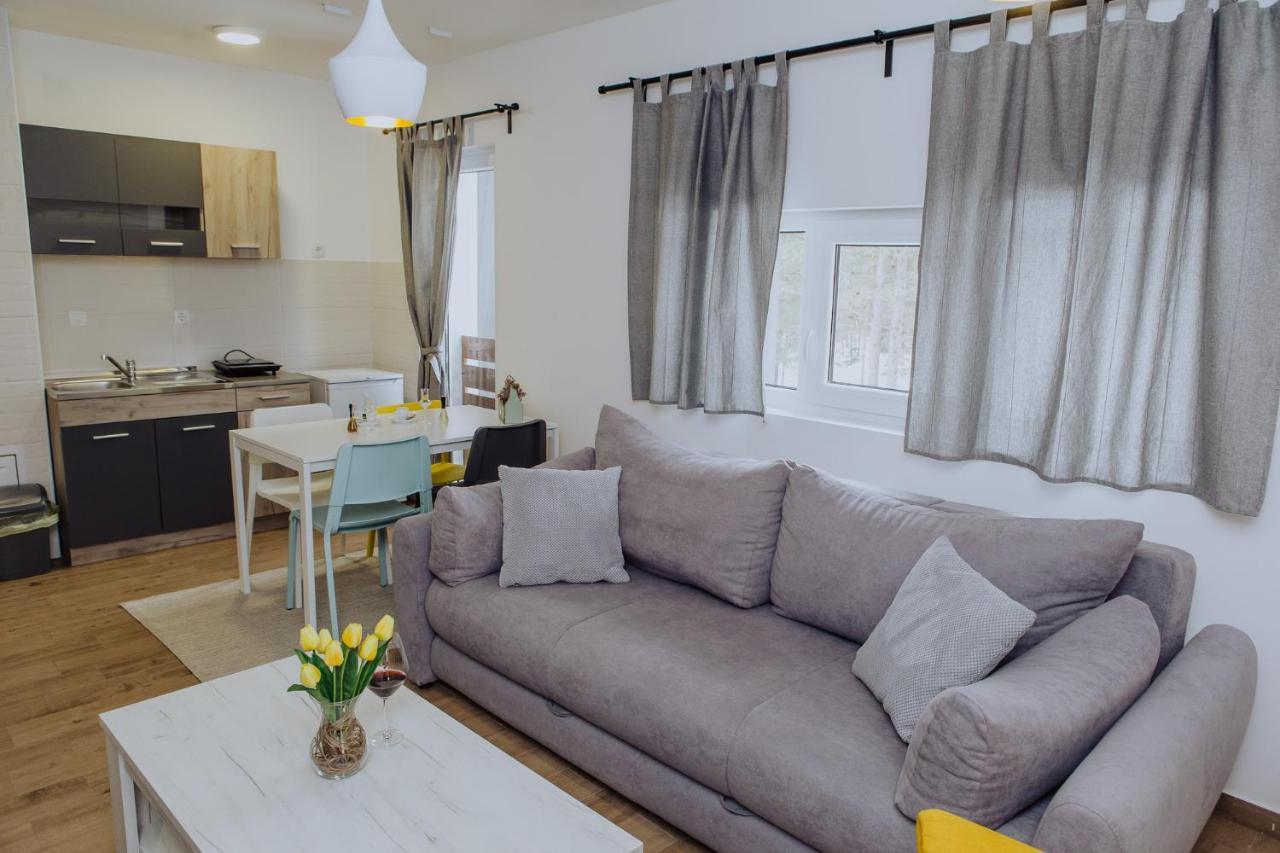 Apartmán Planinsko Srce Divčibare Exteriér fotografie
