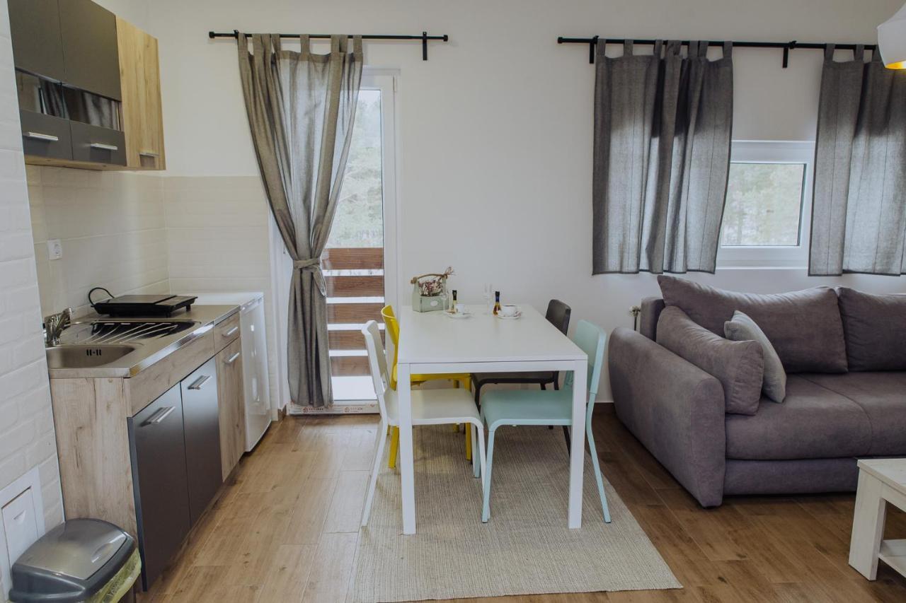 Apartmán Planinsko Srce Divčibare Exteriér fotografie